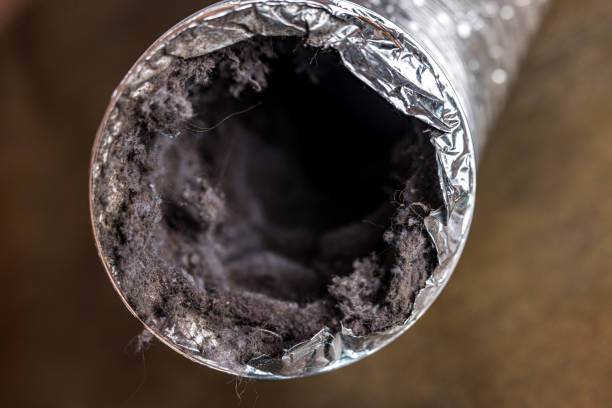 Best Affordable Air Duct Cleaning  in New Roads, LA